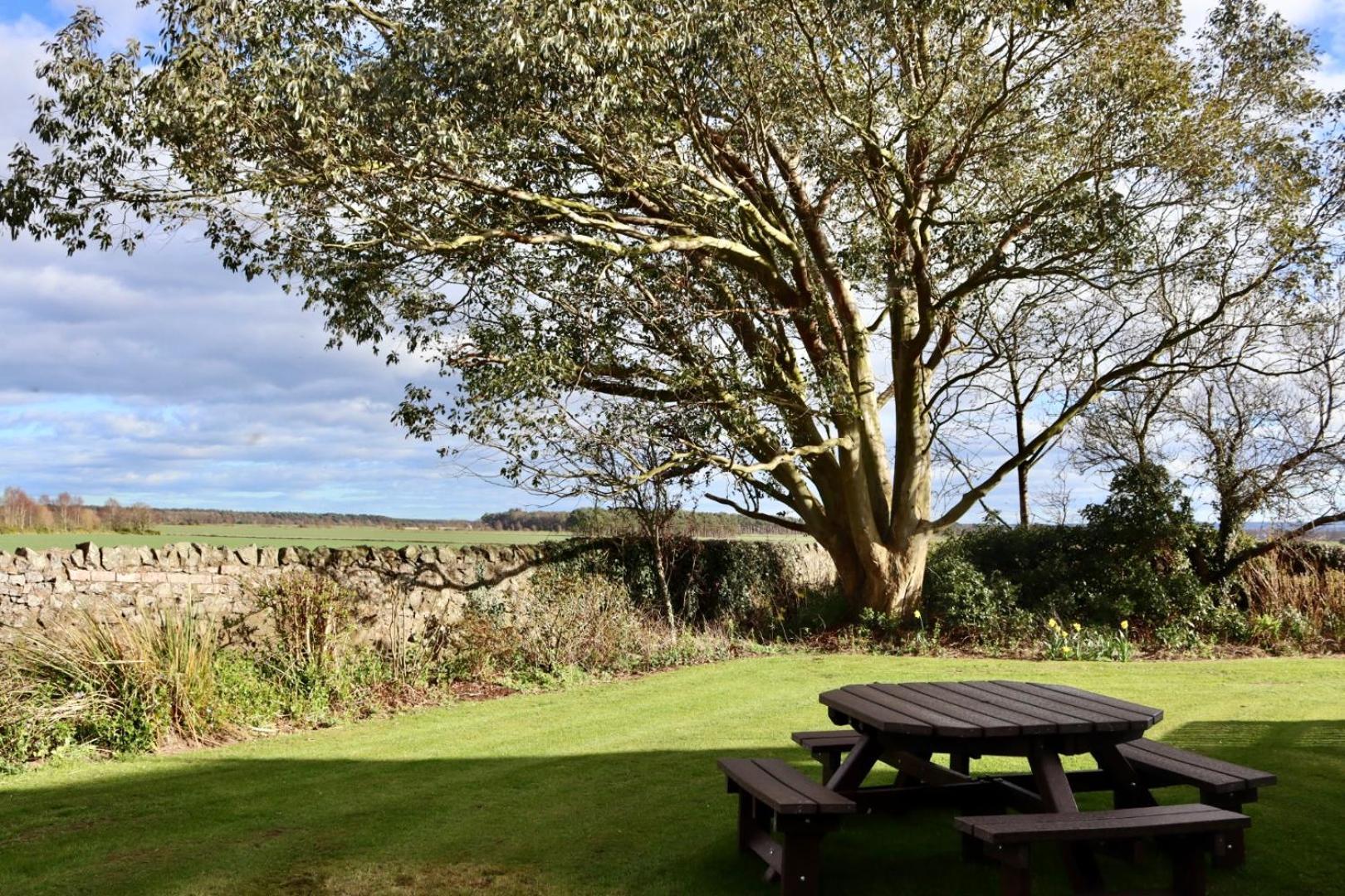 Vicarsford Farmhouse With Hot Tub Leuchars Kültér fotó